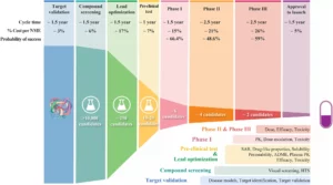 Stages of drug development and failure rates