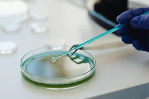 Preclinical Research in Drug Development