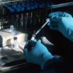 Analytical method and analythical priorities